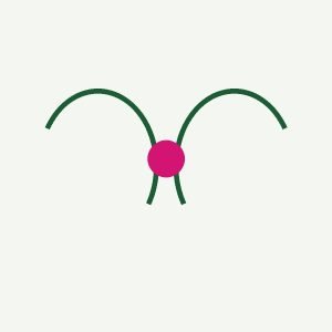 Garden Bow